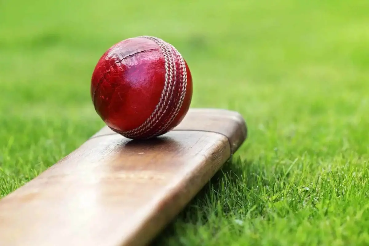 A cricket bat and ball rest on a lush green outfield, symbolising the end of an era as several global cricket stars announced their retirement in 2025. Representative photo: Canva