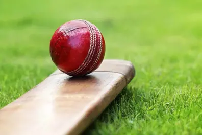 From Kohli to Maxwell: Top 7 International cricketers who retired in 2025