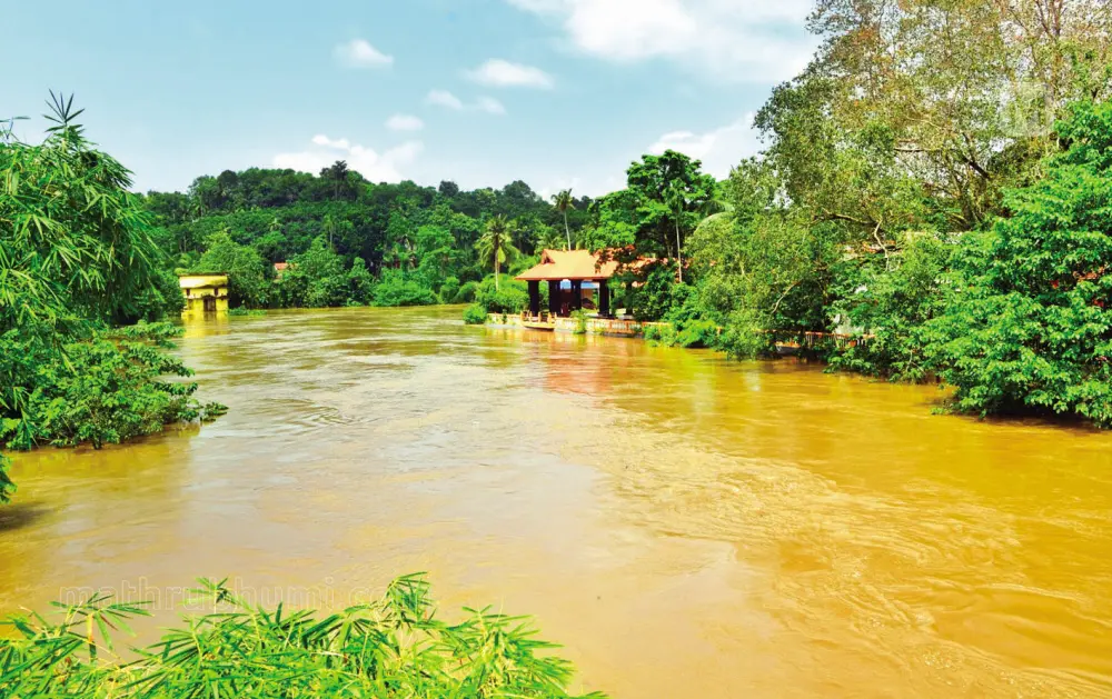 Achankovil river | Photo: Mathrubhumi/ K Aboobacker