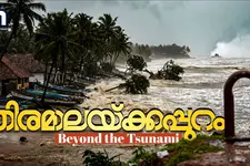 മല പോലെ കടൽ വന്നു, ഭീകര ശബ്ദവും...; തീരത്തെ തിര വിഴുങ്ങിയ ഒരു ക്രിസ്മസ് പിറ്റേന്ന് | Tsunami
