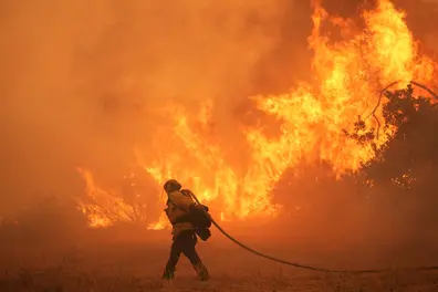 Climate disasters cost world over $120 bn in 2025; US bore brunt with California fires: Report