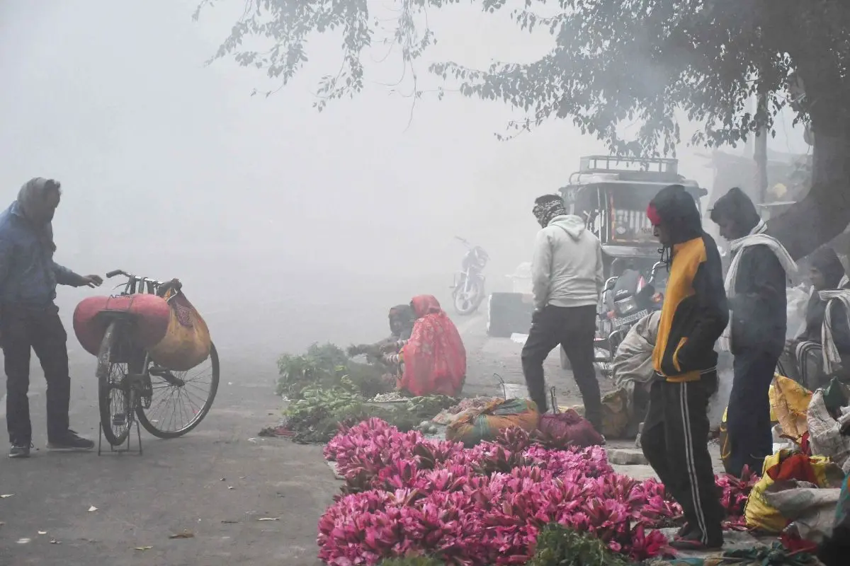 Vendors sells flowers in a market as dense fog engulfs the city on a cold winter morning, in Prayagraj on Saturday. (ANI Photo)