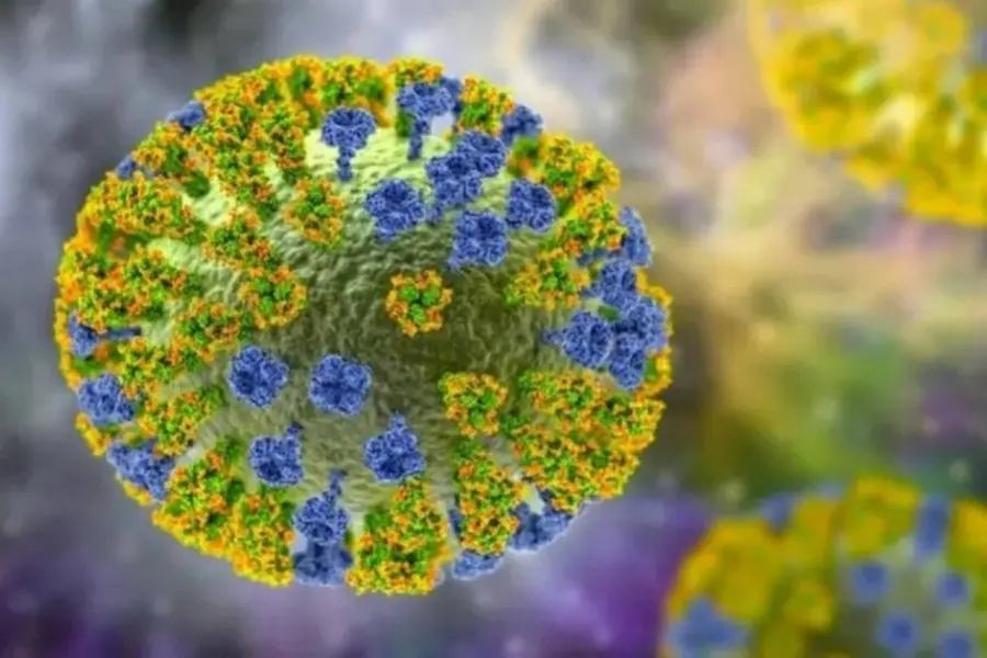 Saudi Arabia Denies Reports of New MERS Coronavirus Threat