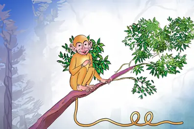 Magical tail, playful tricks: Beloved comic monkey Kapish makes a grand comeback