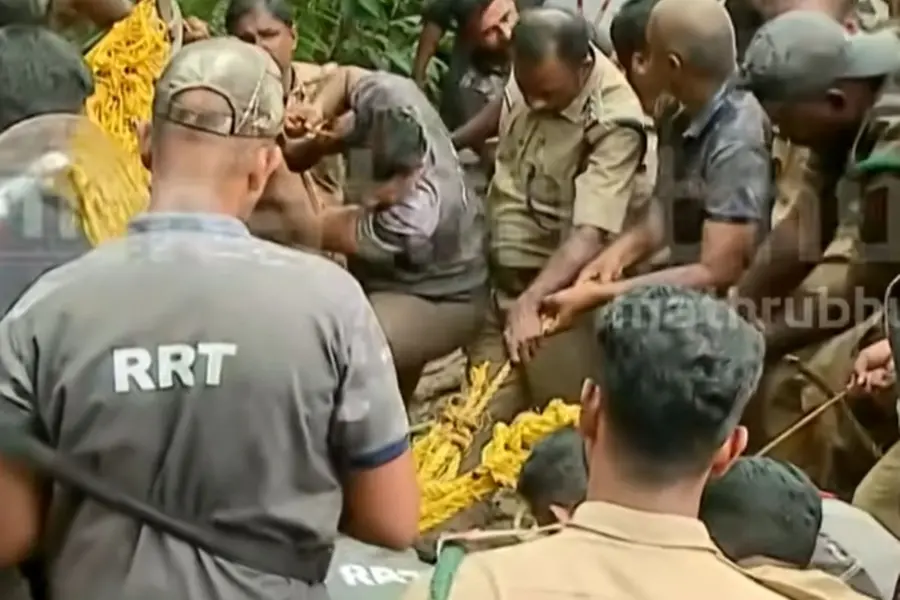 Tiger rescued after 11-hour operation from open well in Pathanamthitta