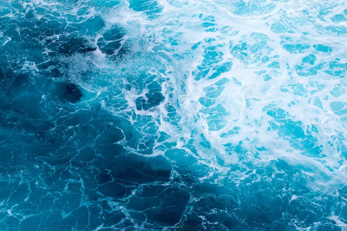 Representational image (Photo: Canva)