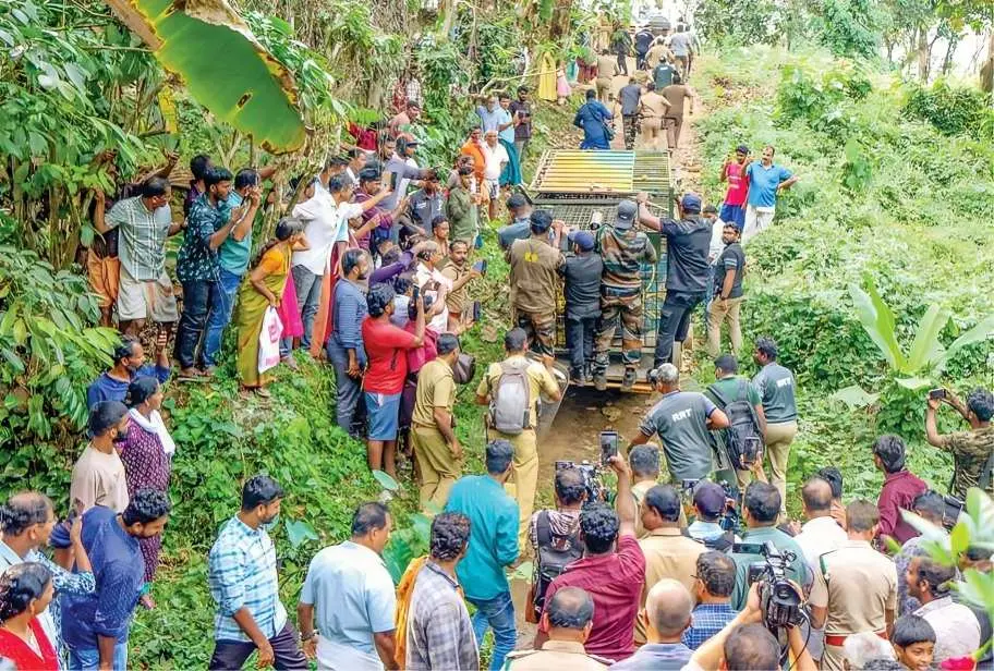ചിറ്റാർ വില്ലൂന്നിപ്പാറയിൽ കൊല്ലംപറമ്പിൽ സദാശിവന്റെ വീടിന് സമീപത്തുള്ള കിണറ്റിൽ അകപ്പെട്ട കടുവയെ വനംവകുപ്പിന്റെ നേതൃത്വത്തിൽ രക്ഷിച്ച് കൂട്ടിലേക്ക് മാറ്റിയശേഷം കൊണ്ടുപോകുന്നു
