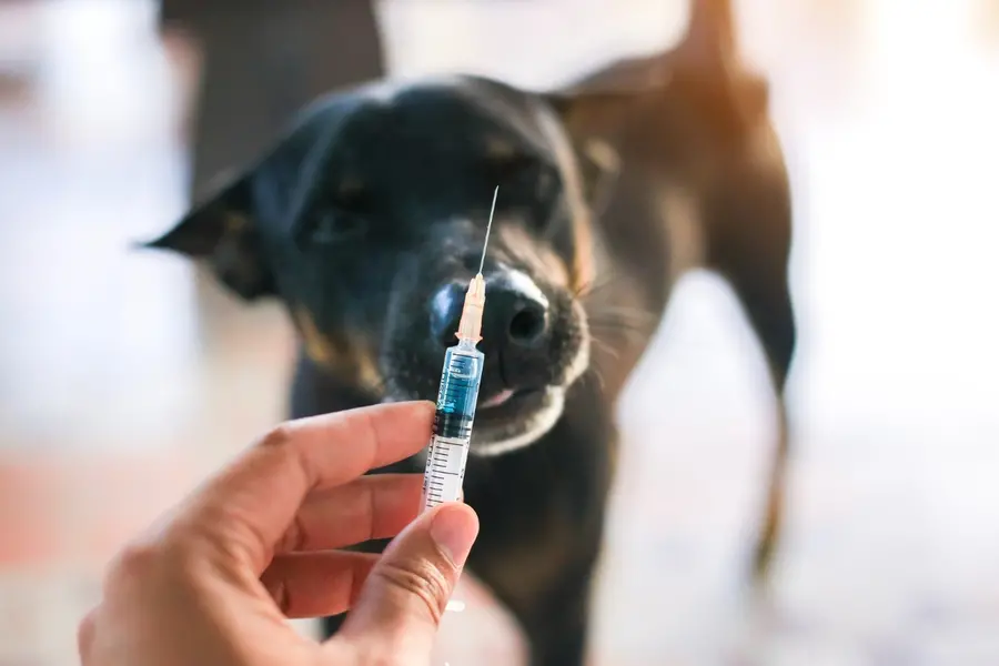 rabies vaccine