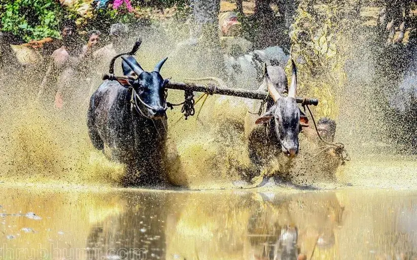 Representational image | Photo: Agencies