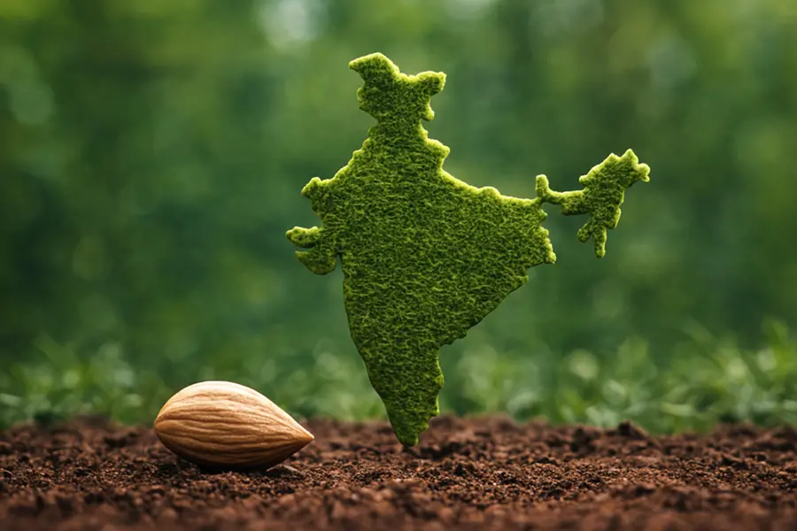 വിത്തുപിഴച്ചാൽ കർഷകൻ കോടതി കയറണം; വിത്തുബിൽ കർഷകന് കരുതലോ കുരുക്കോ?, ആശങ്കകൾ