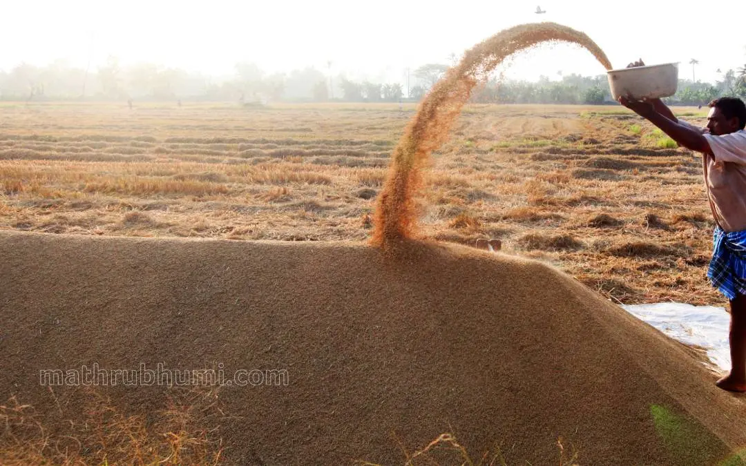 പ്രതീകാത്മക ചിത്രം | Photo: Mathrubhumi