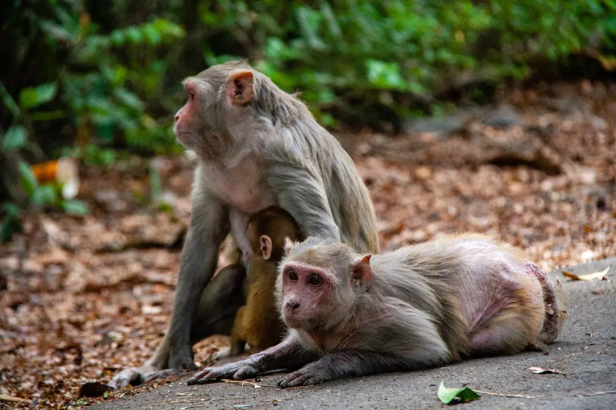 Representational image | Photo: Canva