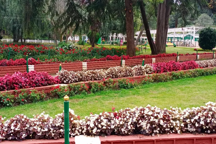 Ooty