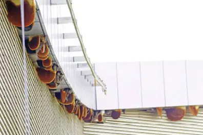 Buzzing for years: Kannur Airport prepares to relocate 63 rooftop beehives