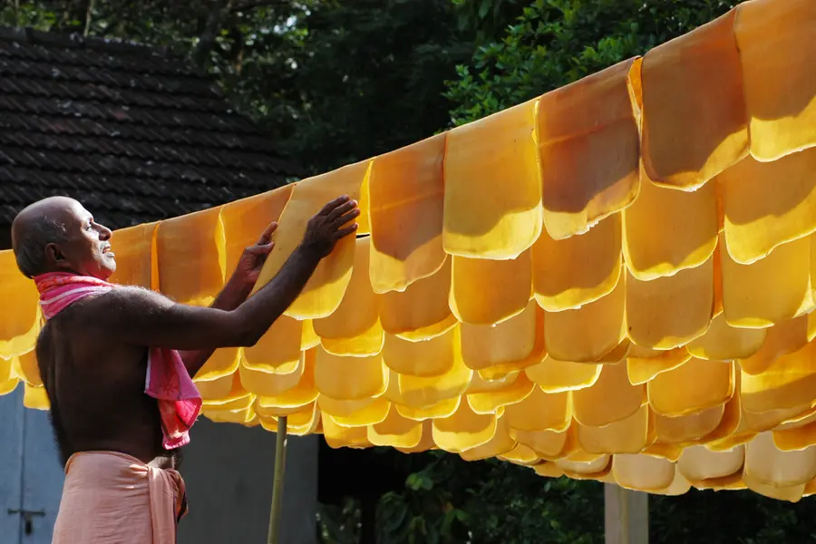 Kerala rubber farmers face delays in accessing increased support price amidst technical glitches