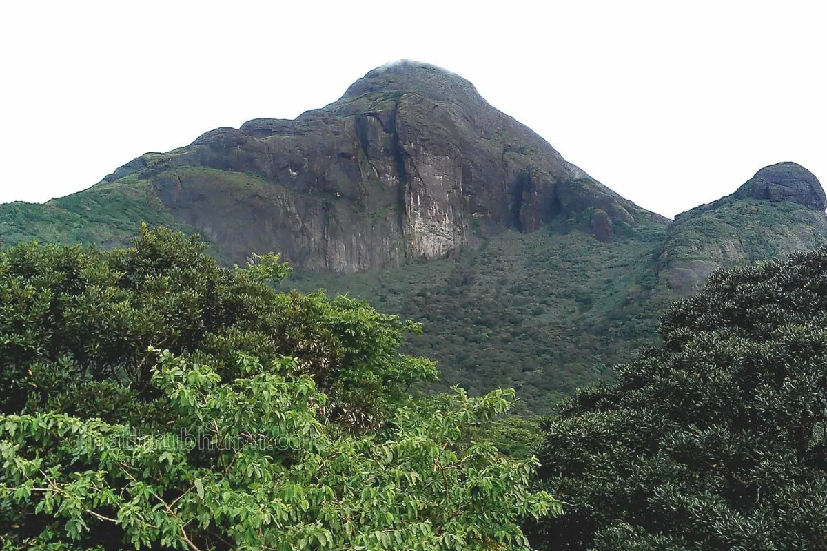 Agasthyarkoodam Hills | Photo: Mathrubhumi archives