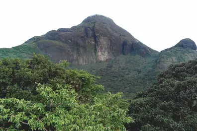 Agasthyarkoodam trek 2026: Key dates, costs and medical certificate requirements