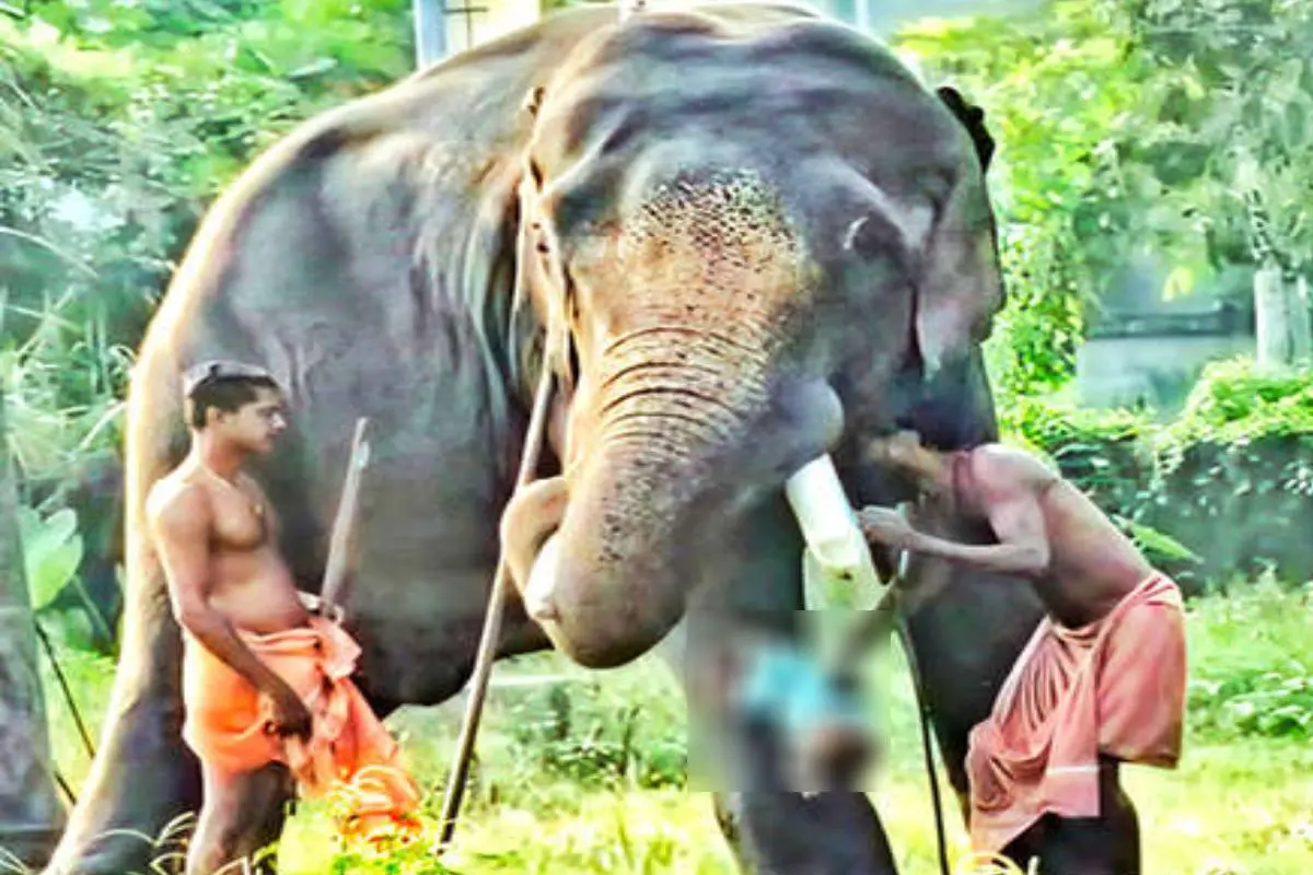 കുഞ്ഞുവീഴുന്ന ദൃശ്യം