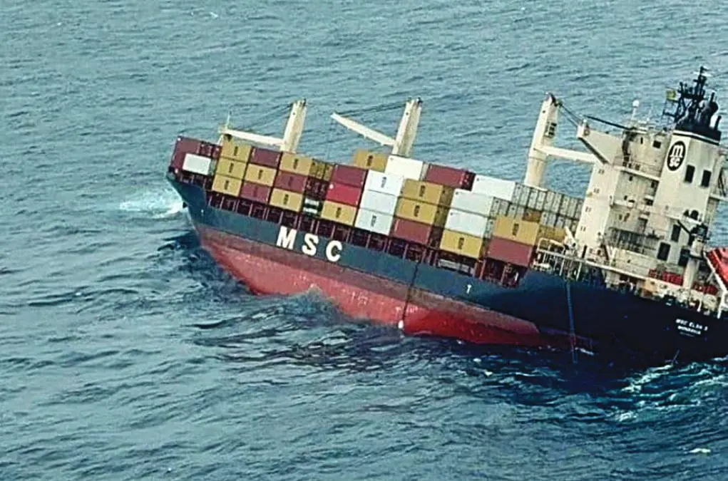 MSC എൽസ 3 കപ്പിൽ