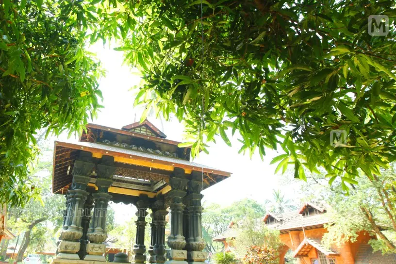 ഒരെഴുത്തുകാരൻ മലയാളിയുടെ ഭാവിയെ കാണുന്നത് | ആഴ്ചപ്പാടുകൾ