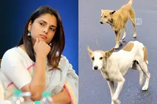എപ്പോഴാണ് ബലാത്സംഗം ചെയ്യുക എന്നറിയാൻ കഴിയില്ല, എല്ലാ ആണുങ്ങളേയും ജയിലിൽ അടയ്ക്കണോ?- നടി രമ്യ