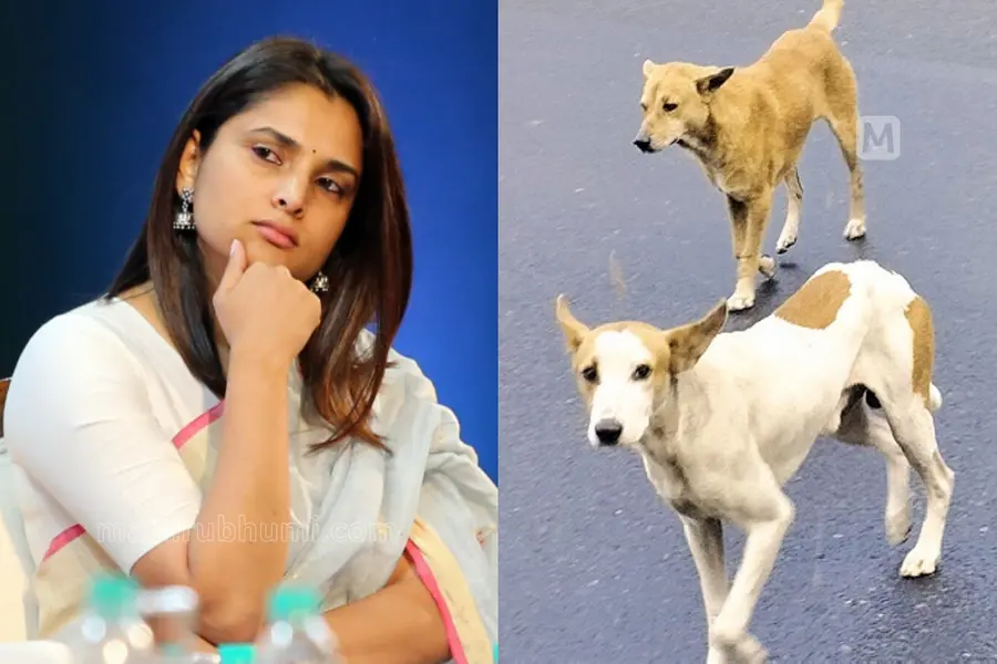 Divya Spandana Stary Dogs