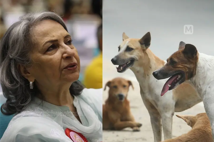sharmila tagore stray dogs case