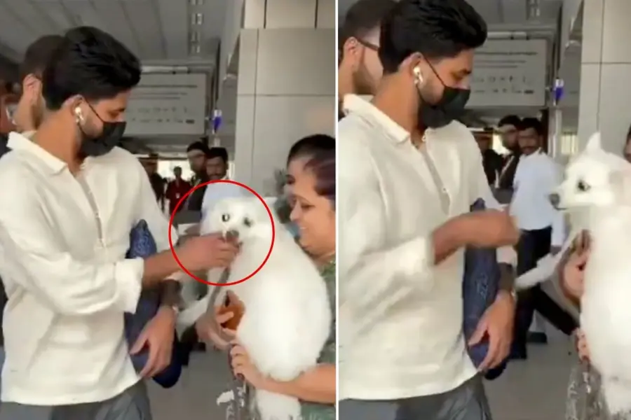 ഇപ്പോ പണിയായേനെ; നായയെ കൊഞ്ചിക്കാൻ ശ്രമം, ശ്രേയസ് അയ്യർ കടികിട്ടാതെ രക്ഷപ്പെട്ടത് തലനാരിഴയ്ക്ക്