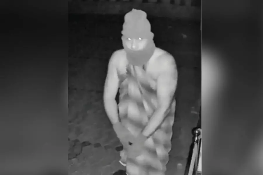 karulayi theft