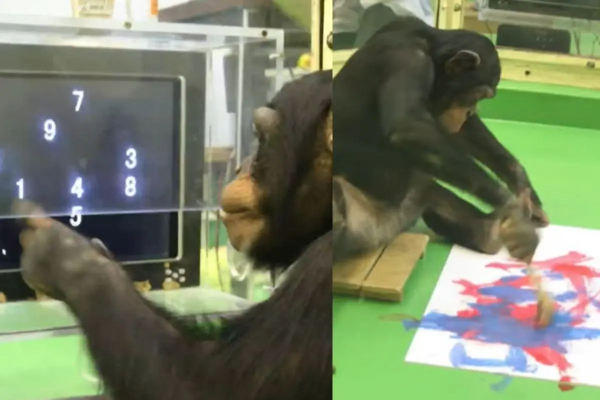 Ai demonstrating her numerical and drawing ability | Photo: YouTube video screengrab/ Haus der Kulturen der Welt (HKW)