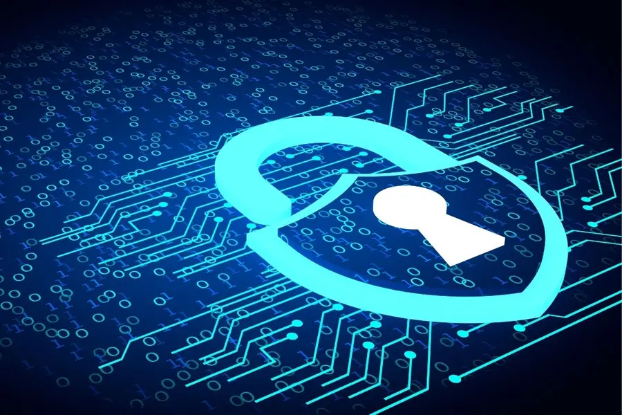 Massive data breach allegedly leaks personal details of ICE, Border Patrol agents: What’s ICE List?