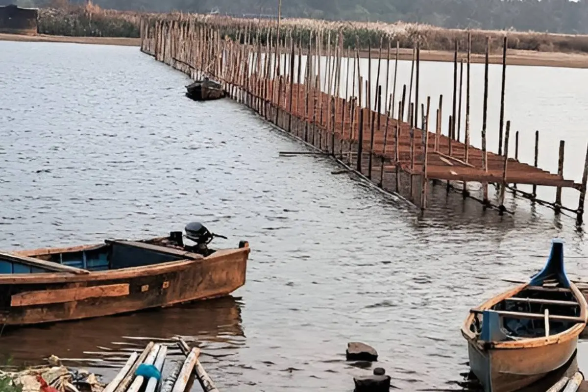 കുംഭമേളയ്ക്ക് ഭാരതപ്പുഴയിൽ ഒരുങ്ങുന്ന താത്കാലിക പാലം