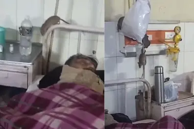 Rats seen near patients’ beds and equipment in UP hospital | WATCH