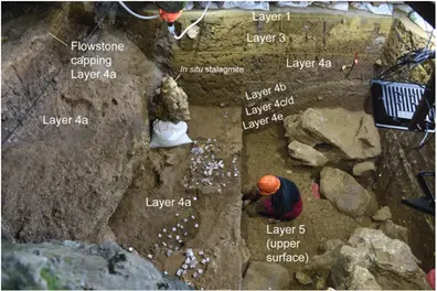 Archaeologists find evidence of extinct ‘ghost’ human species at Leang Bulu Bettue in Indonesia