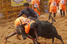 മധുരൈ പാലമേട് നടന്ന ജെല്ലിക്കെട്ട് മത്സരത്തിൽ നിന്ന്‌ | ചിത്രങ്ങൾ