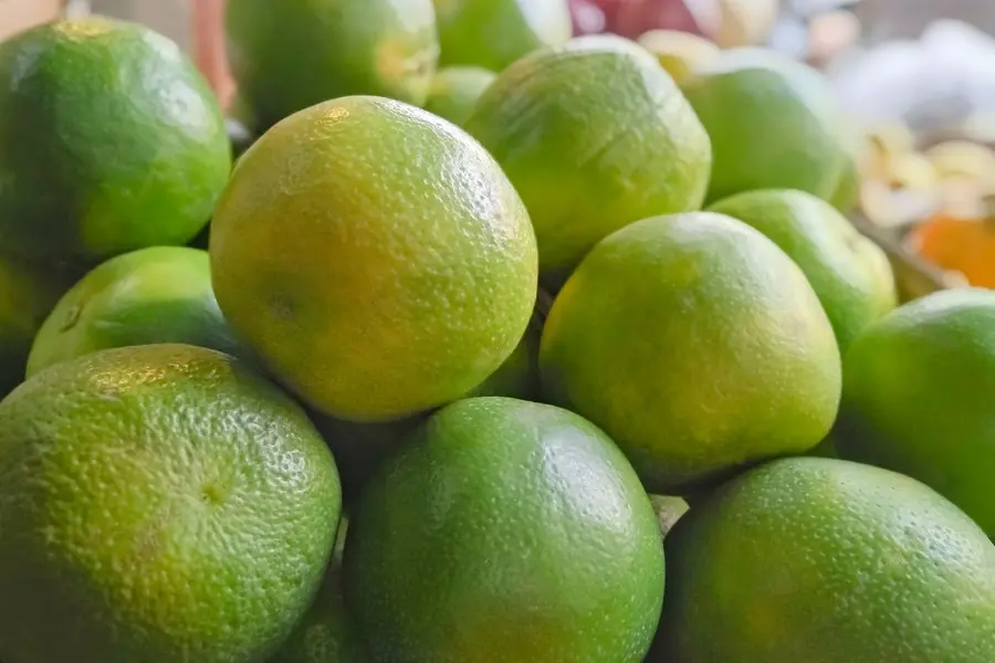 fruit