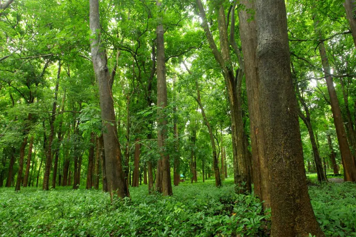 പ്രതീകാത്മക ചിത്രം