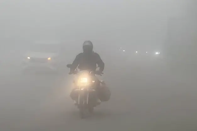 Delhi weather: Dense fog grips city as AQI hits 437, flights affected by low visibility | VIDEO