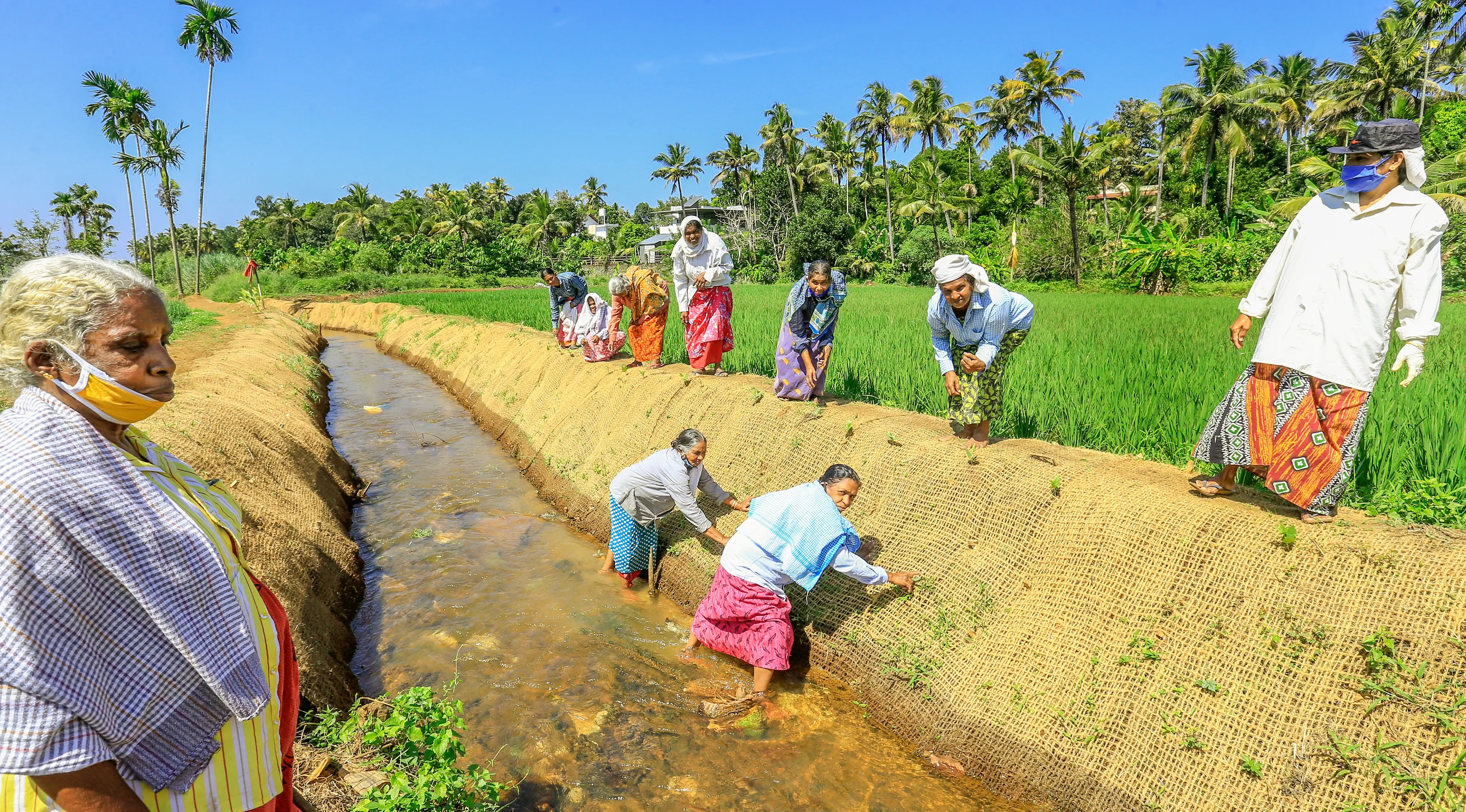തൊഴിലുറപ്പ് തൊഴിലാളികൾ |ഫോട്ടോ:മാതൃഭൂമി