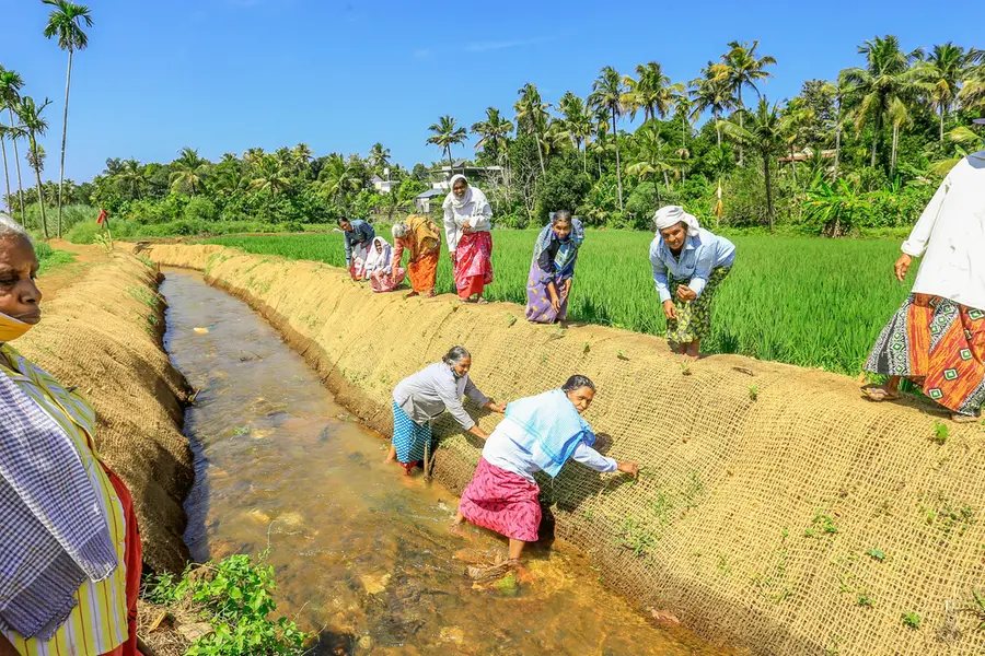 സമരത്തിൽ പങ്കെടുത്തില്ല; വയോധികയെ തൊഴിലുറപ്പിൽനിന്ന് ഒഴിവാക്കിയതായി പരാതി