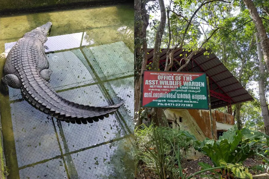 ‘ചീങ്കണ്ണിയുടെ ഏഴയലത്ത് പോലും വെടിയുണ്ടകൾ എത്തിയില്ല,അത് കൂക്കുവിളികളിലും തെറികളിലുമാണ് കലാശിച്ചത്’