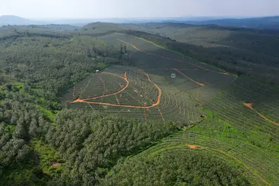 Setback for Govt; No ownership rights on land identified for Sabarimala airport