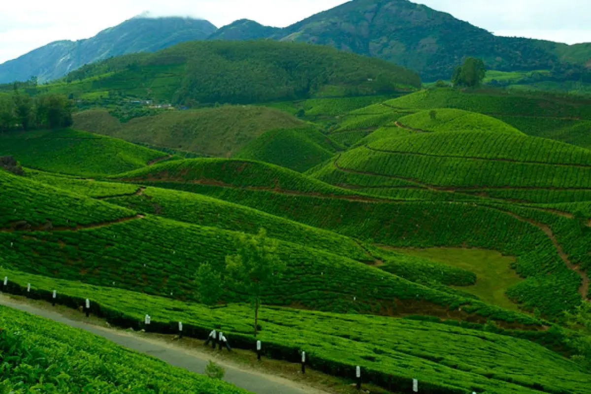 ദേവികുളം| photo:keralatourism.org