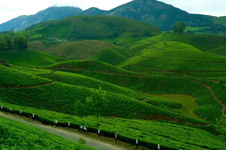 വെഡിങ് ഡെസ്റ്റിനേഷനാകാൻ ദേവികുളം; നൂതന പദ്ധതി തയ്യാറാക്കാൻ ഡിടിപിസി