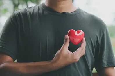 Hope for heart health: Australian study uncovers natural muscle cell repair after attacks