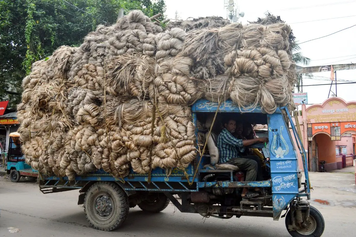 Jute being transported to markets | Photo: ANI