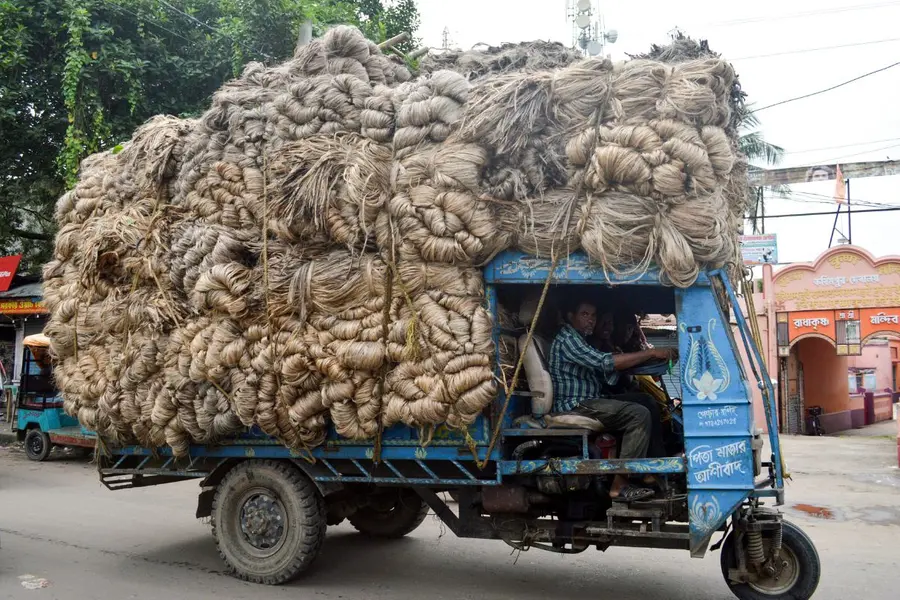 Raw Jute
