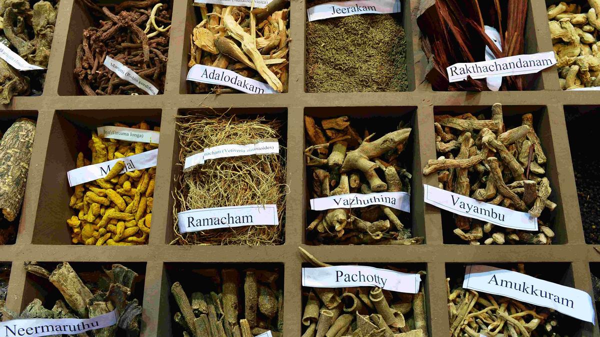 Kerala PG Ayurveda 2025-26: Third stray vacancy allotment announced