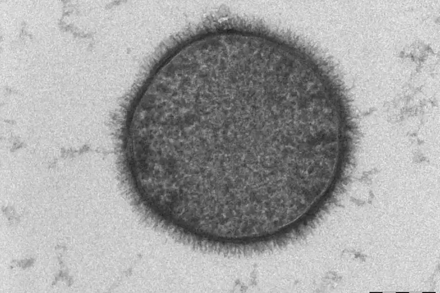 Kerala govt declares ‘Bacillus subtilis’ state microbe; A first for India