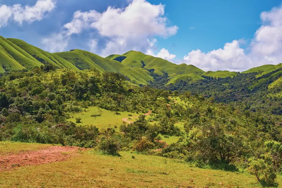 HILLS
